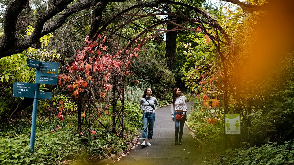 Reconnect with nature in the Royal Botanical Garden Victoria.. Visit Victoria