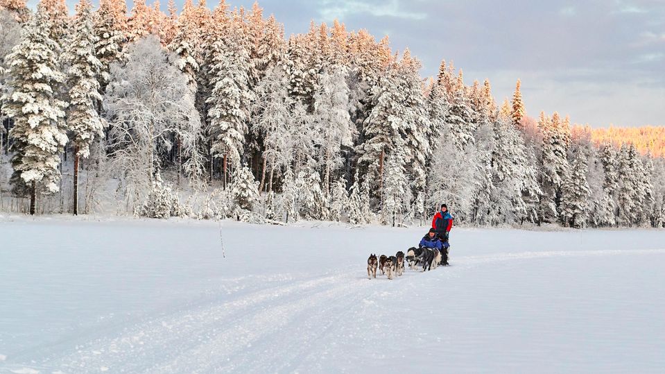 Mushing through the icy landscape.. Graeme Richardson