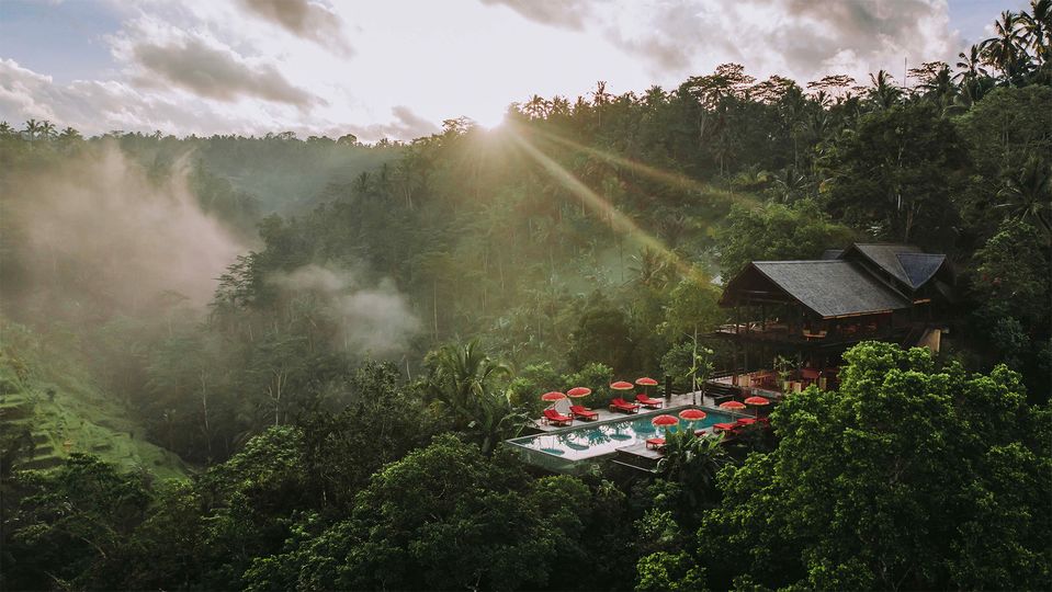 Waking up to the sounds of the jungle is the best alarm clock you'll ever experience.