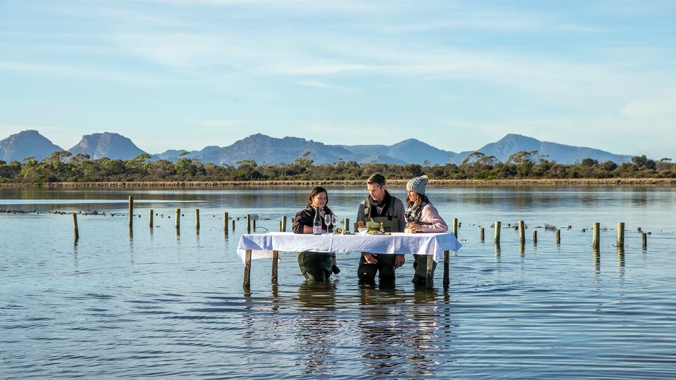 Feast of fresh oysters with views of the Hazards mountain range beyond.