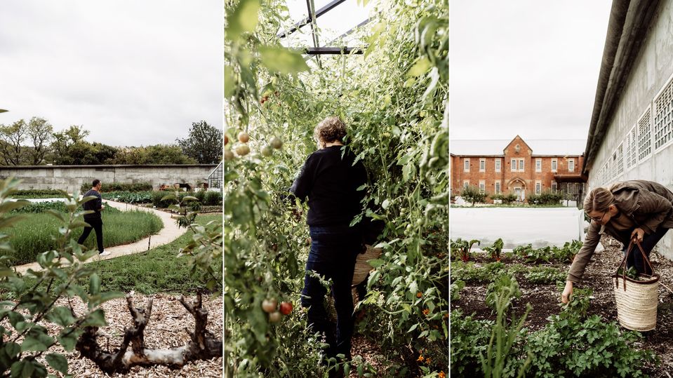 The vast kitchen garden encompasses orchards, greenhouses, citrus and more.. Anna Critchley