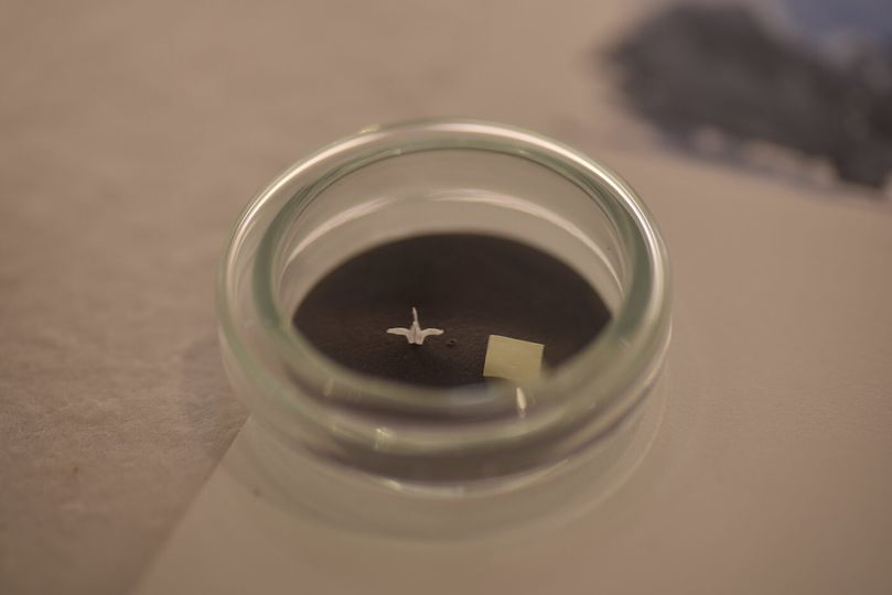A tiny origami crane made by one of the watchmakers at Shizukuishi that’s on display as a testament to their skill and precision.