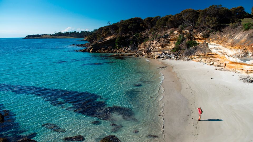 Maria Island Walk follows an easy to moderate grade.
