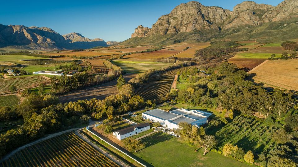 Plaisir is just one of the region's phenomenal wine estates.