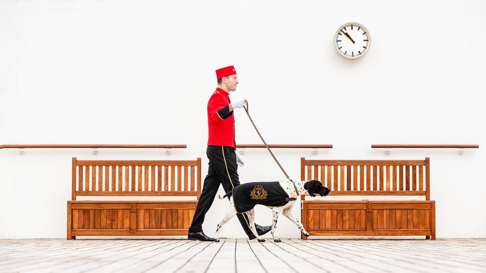Four-legged friends also get to travel in style on board Transatlantic Crossings. © Cunard