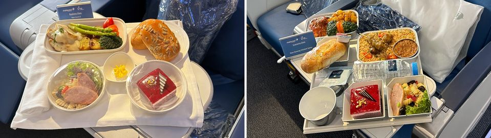 Malaysia Airlines Boeing 737 MAX meals for business class (left) and economy (right).