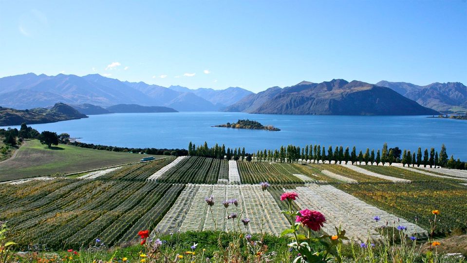 Tastings at Rippon are available via appointment.