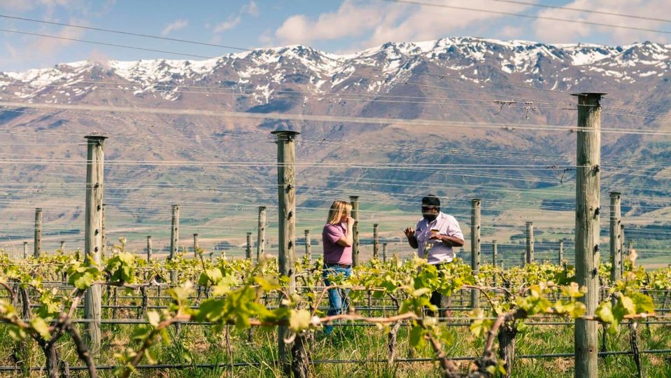 Gibbston Valley Wines is a thrilling example of what Central Otago can do.
