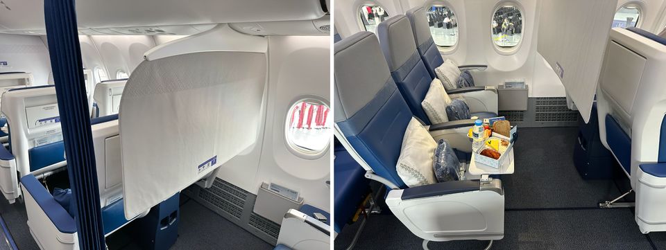 The Boeing Sky Divider on Malaysia Airlines' 737 MAX.