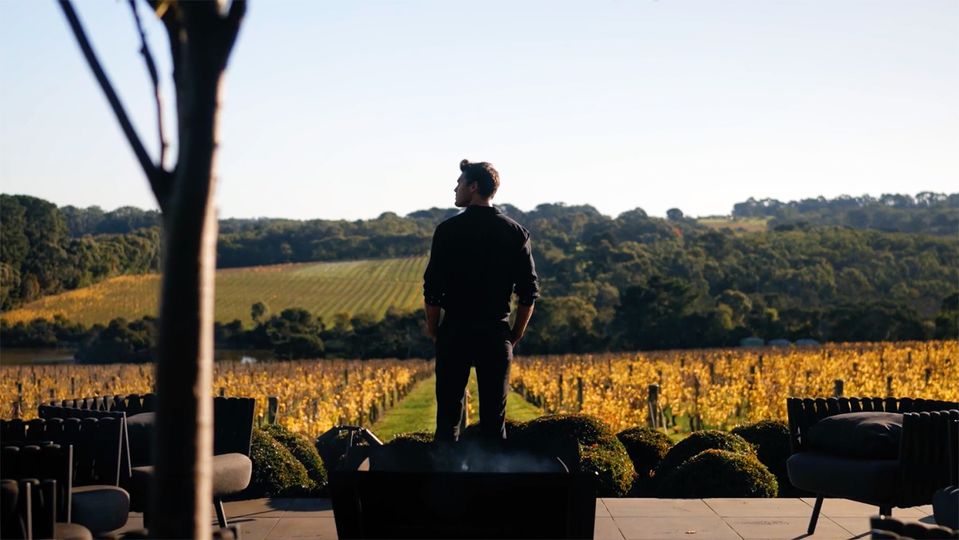The serene outlook from Jackalope on the Mornington Peninsula.