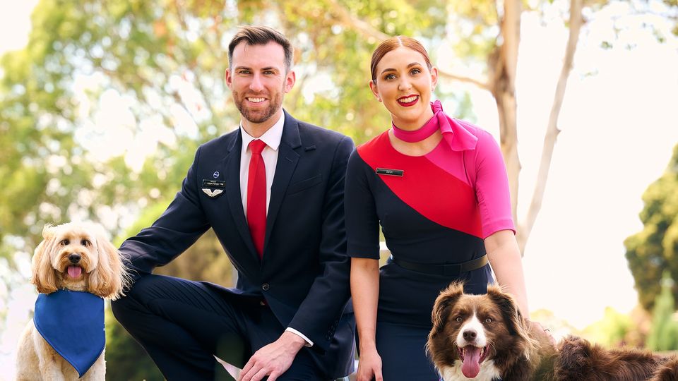 Pets are always welcome on Qantas, just not in the same cabin as humans...