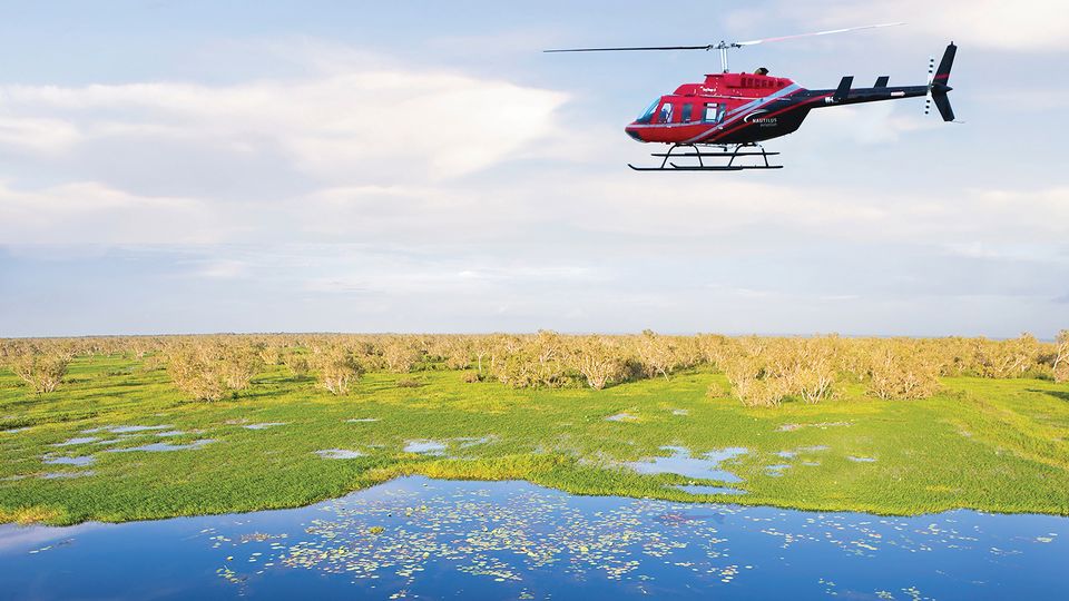Swap Darwin for the wetlands of Finniss River Lodge.