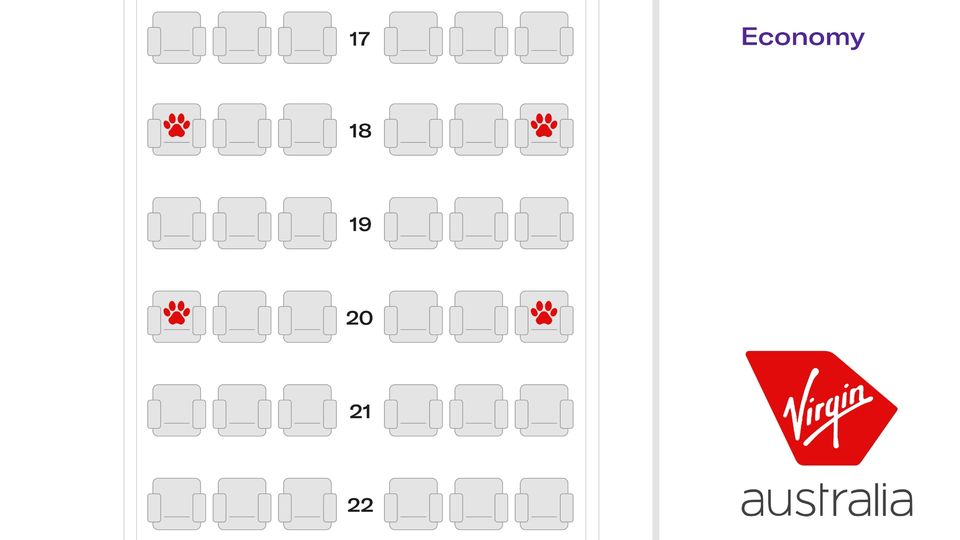 These four seats will be available for passengers with pets.