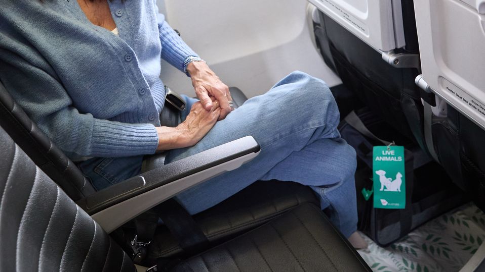 Once on the plane, the pet carrier stays under the seat in front of you.