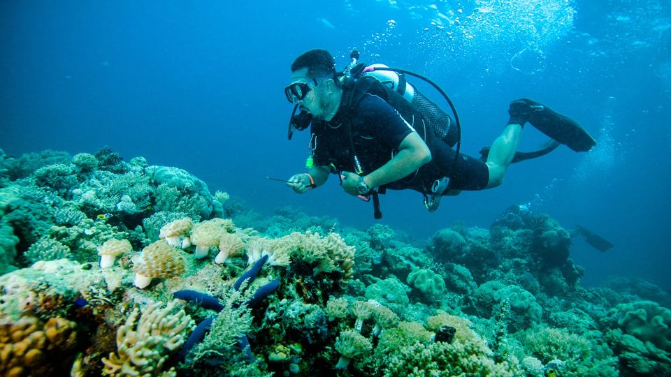 Garuda Indonesia allows up to 23kg of sports equipment such as driving gear to be checked in free of charge.