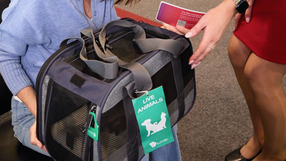 Pets must comfortably fit into a compact soft-sided carrier.