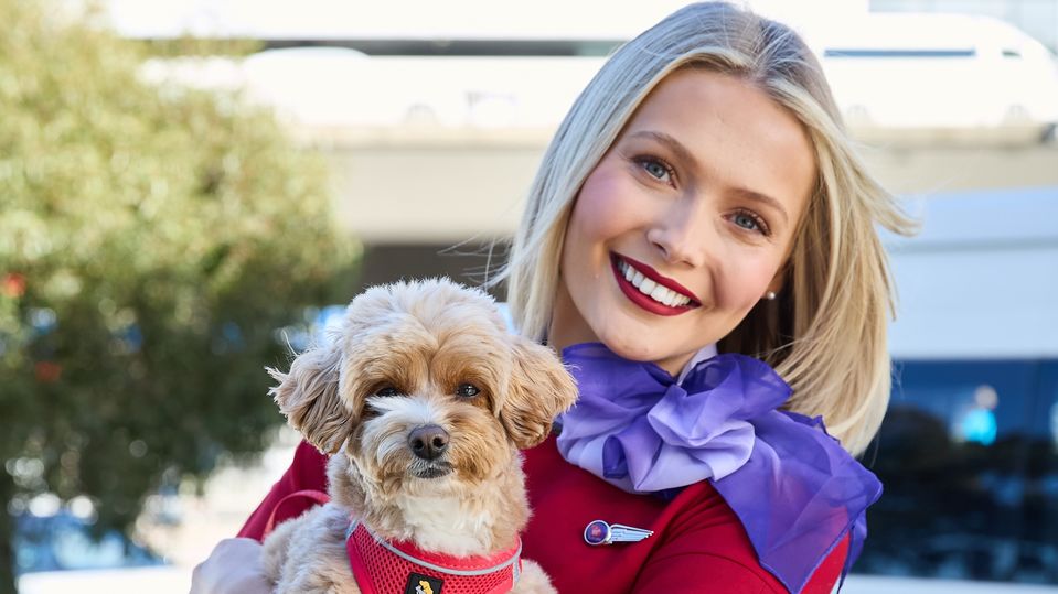 Virgin is expanding its 'pets on planes' network.